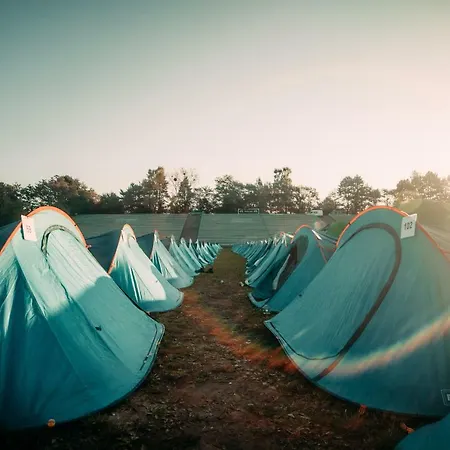 キャンプ場 The Esn Kingsday アムステルダム