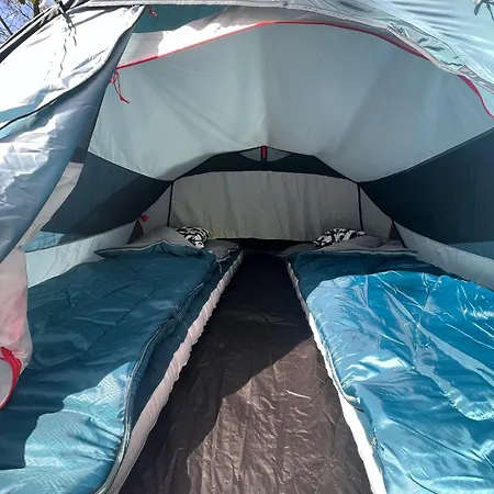 The Esn Kingsday * 암스테르담