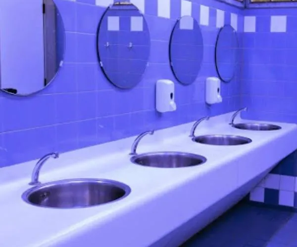 The Esn Kingsday 캠프장