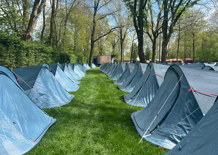 캠프장 The Esn Kingsday