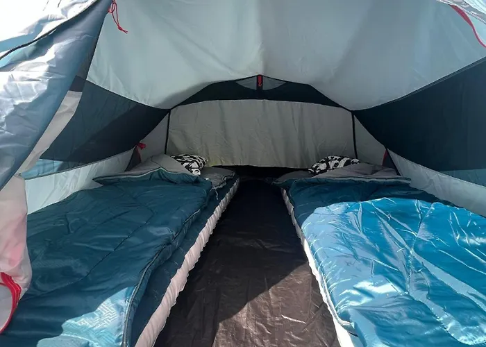 The Esn Kingsday * 암스테르담