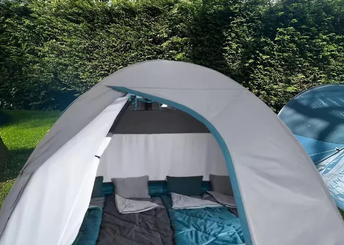 The Esn Kingsday 캠프장