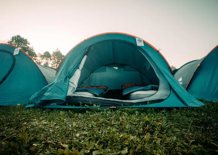 캠프장 The Esn Kingsday