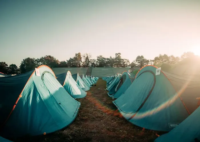 캠프장 The Esn Kingsday 암스테르담